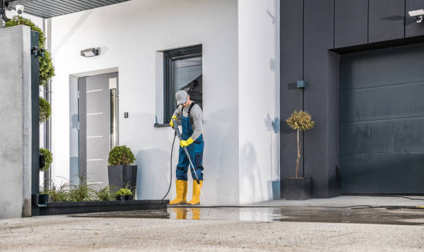 Best Gutter Cleaning and Brightening in Mount Carmel, PA